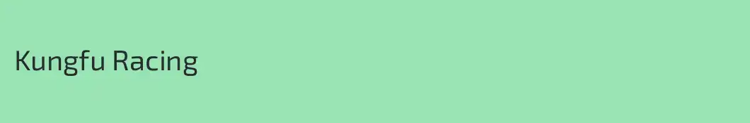 Kungfu Racing